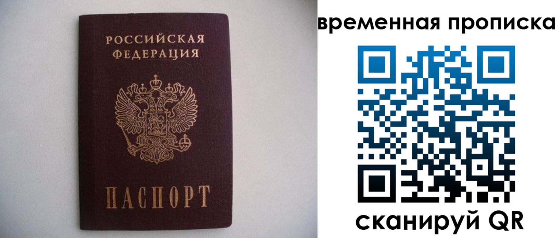 прописка для работы в Мурино